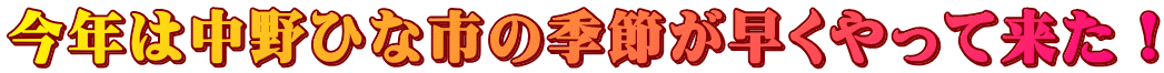 今年は中野ひな市の季節が早くやって来た！